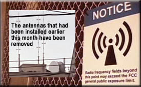 Motorola Antennas
